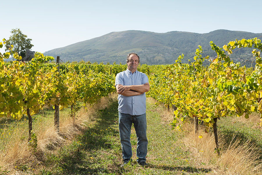 Anselmo-Mendes---Vinho-Verde